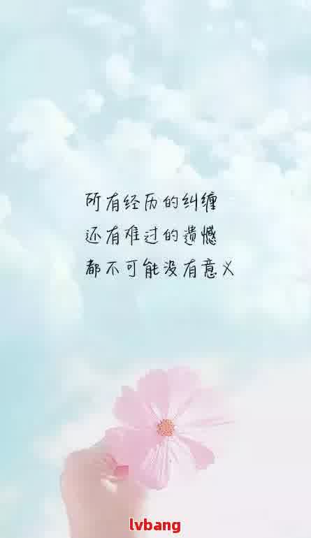 失去信心短语句子(失去信心的句子说说心情)