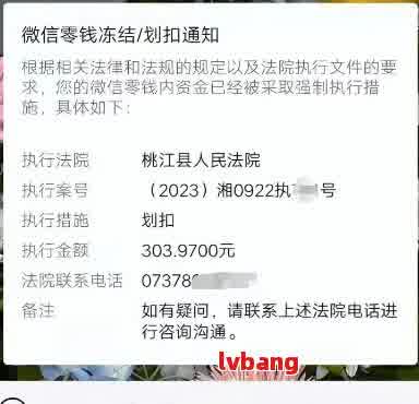 网贷被异地法院起诉：如何处理冻结的微信零钱？