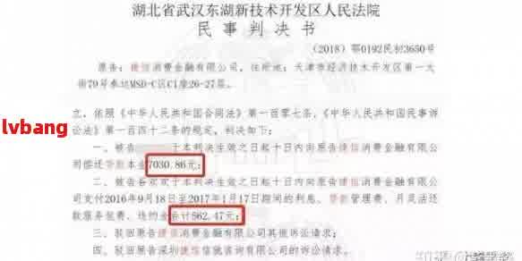 网贷高利贷起诉法院会受理吗，网贷高利贷诉讼：法院是否会受理？