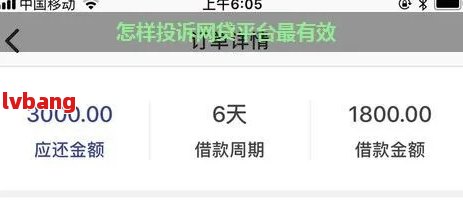 怎样有效投诉网贷？12363投诉电话全攻略！