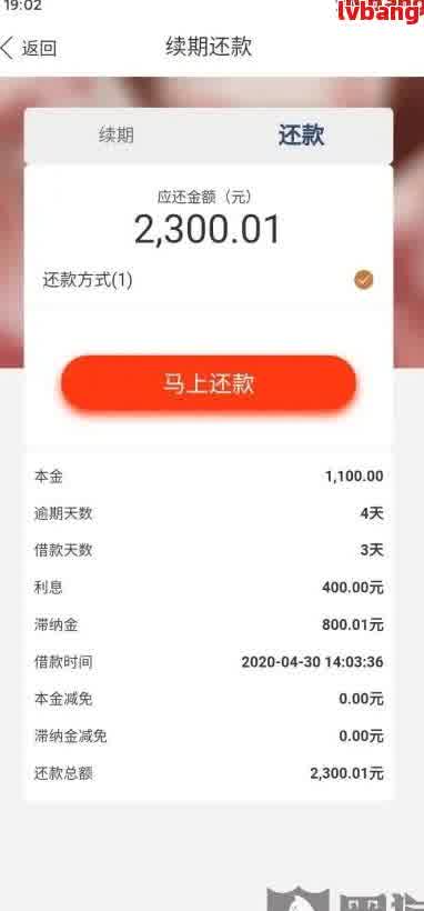 猪八戒网贷-猪八戒网贷平台