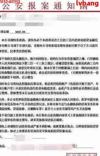 网贷逾期公安经侦大队已立案，网贷逾期：公安经侦大队正式立案调查