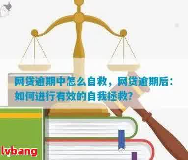 网贷都逾期了，怎么挣钱呢？分享逾期后的自救、贷款经历与借钱方法