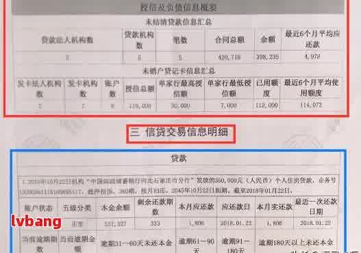 网贷逾期明细最快查询及处理方法：多久能到账、消除、还清？如何查看及影响？