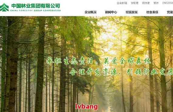 成立林业公司的条件及命名要求？你知道多少
