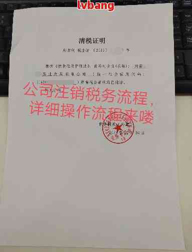 遂平公司税务注销流程及费用