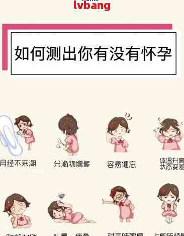 第二天判断是否怀孕-第二天判断是否怀孕了