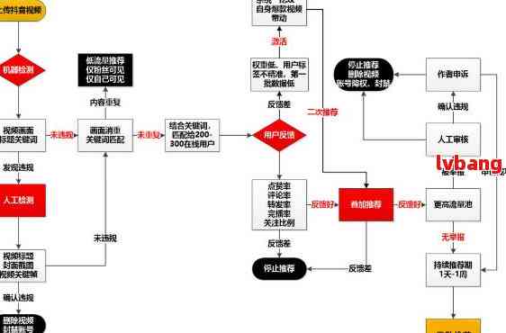 公司抖音号注册流程图