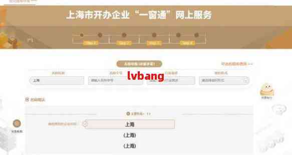 上海公司注册官网入口查询