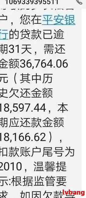 平安i贷逾期呆账