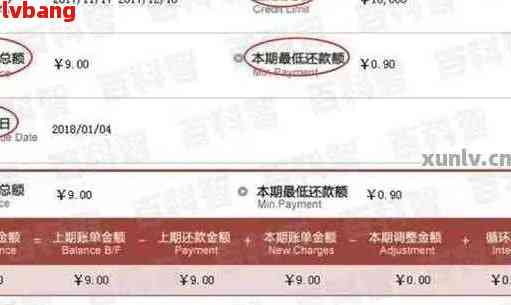 中信银行信用卡逾期还款手续费明细查询指南：如何快速获取账单记录
