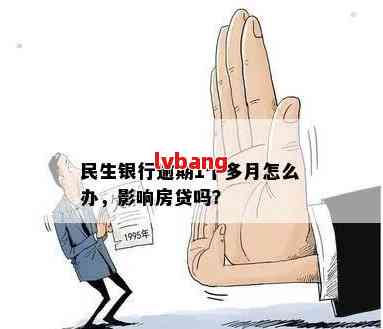 民生银行逾期一个月后还清，对房贷申请是否会有影响？