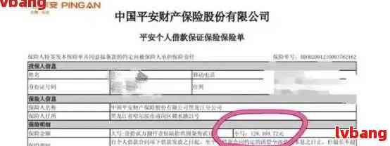 平安金所逾期不还款问题解决方案及影响分析