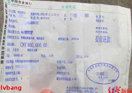 农业银行逾期1个月后果详解：信用记录受损、罚息、影响及解决方案！