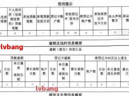 建设银行无恶意逾期模板： 优化您的信用报告与贷款体验