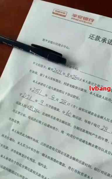建设银行逾期还款通知函详细指南与解决方案