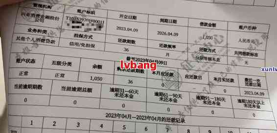 兴业银行逾期还款记录的保留时长与影响的探讨