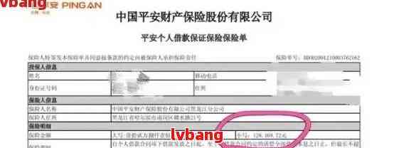 逾期2万的平安银行贷款：报案处理与解决方案全解析